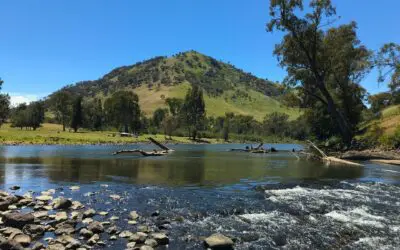 Caravan-Friendly Travel