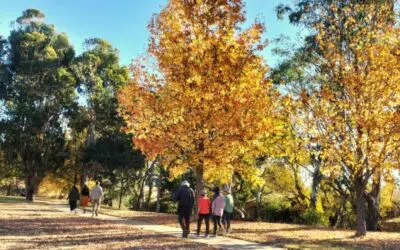 Newsletter – May 2025