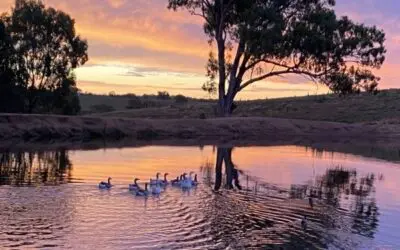 Newsletter – June 2025