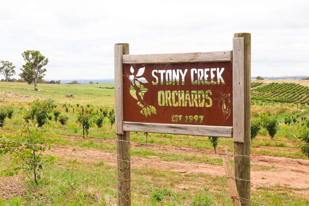 Stony Creek Orchards
