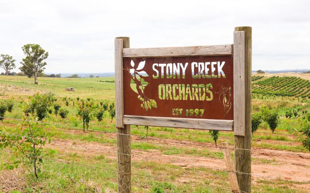 Stony Creek Orchards