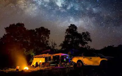 Newsletter – July 2025