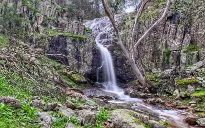 Newsletter – August 2025