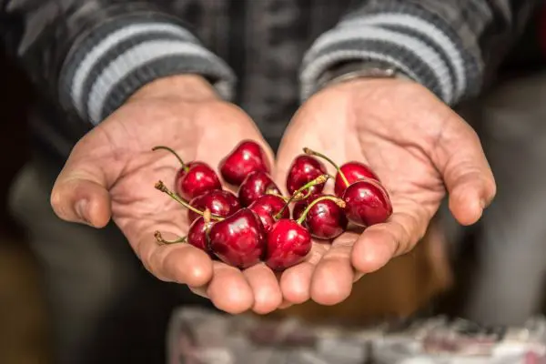 Newsletter – November 2025