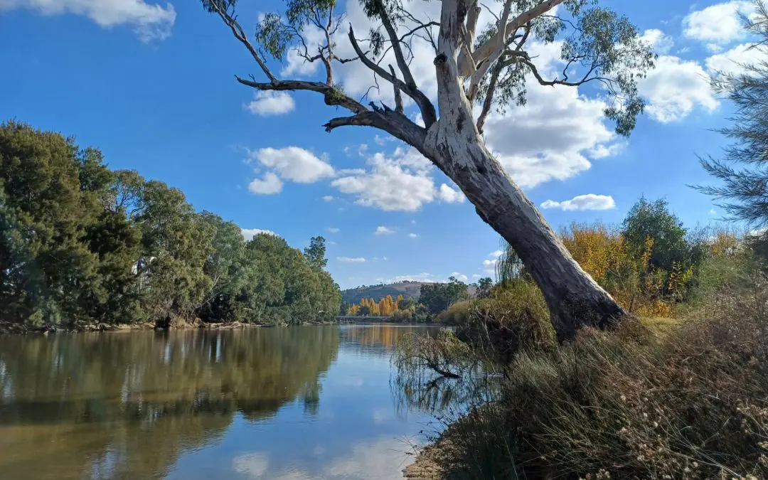 Discover Jugiong – The southern gateway to the Hilltops Region