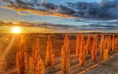 Newsletter – April 2026