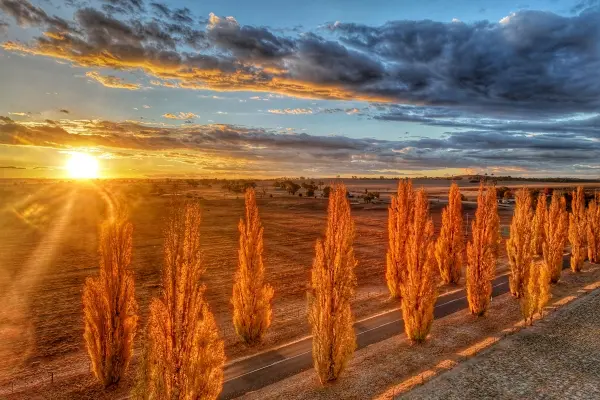 Newsletter – April 2026