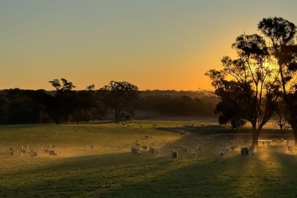 Sustainably Yours, The Hilltops Region