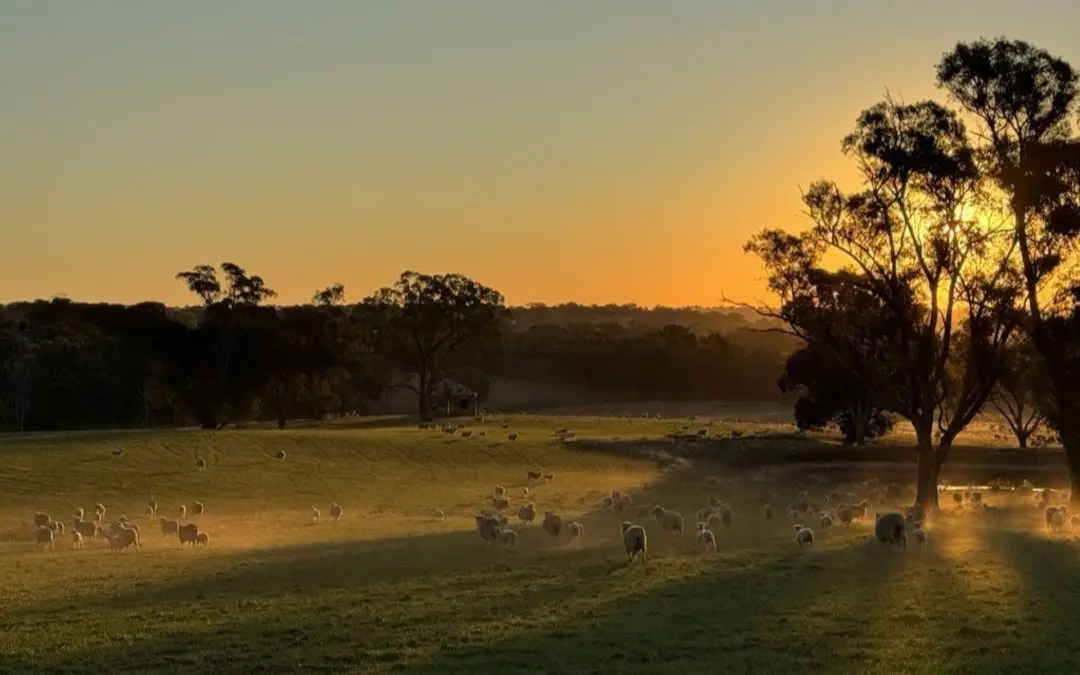 Sustainably Yours, The Hilltops Region